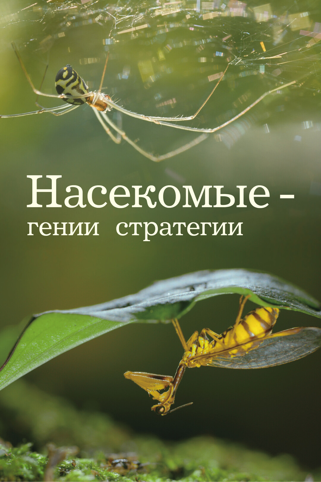 Preview «Клипперс»: Стратегический Гений и Удивительные Приобретения Межсезонья